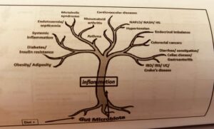 Tree that diagrams inflammation