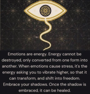 Emotions are energy and can be converted from one form into another. Recognize unconscious bias and learn to reach your highest potential.